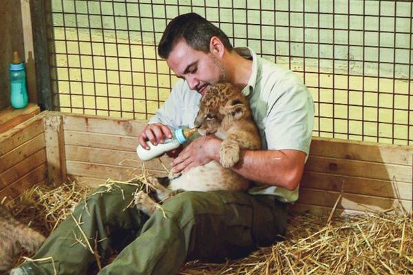 Een dag in de Dierentuin: Expeditie Pairi Daiza